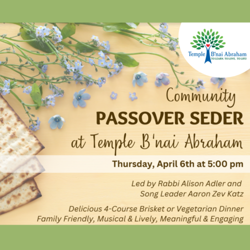 Banner Image for Community Passover Seder at Temple B'nai Abraham